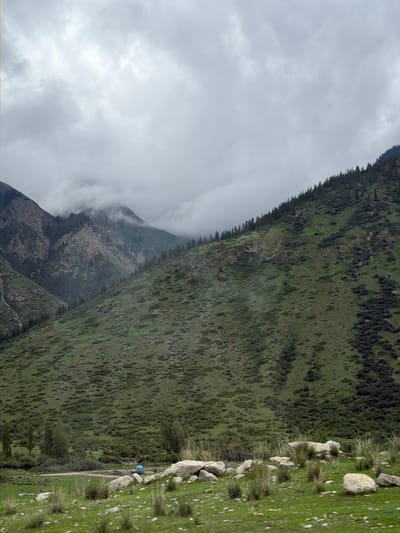 In the city of Barskoon, Kyrgyzstan, a wide, mountainous landscape unfolds under a heavily clouded sky. The foreground is a grassy meadow dotted with large, light-colored rocks and clumps of dry grass. A dirt road winds through the middle ground, with several vehicles present: a blue truck, a dark sedan, and a person on a blue object, possibly a bicycle or scooter. The road is bordered by green shrubbery and a few scattered trees.
The mid-ground is dominated by the lower slopes of a large mountain, covered in a dense carpet of green vegetation, with darker patches of shrubs and trees. The texture of the vegetation on the slope is uneven, with visible patterns of growth.
Further into the background, the mountains rise more steeply, revealing rocky faces and exposed geological strata. Patches of dark green coniferous trees are scattered across these slopes and clustered in the ravines. The higher peaks are shrouded in thick, gray clouds, obscuring the uppermost portions of the mountains and contributing to a muted, overcast atmosphere. The overall scene depicts a rugged, natural environment with signs of human presence through the road and vehicles.