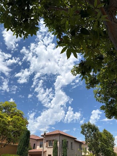 The image shows a low-angle view looking up at a bright blue sky filled with fluffy white clouds. Lush green trees with dense foliage frame the top and sides of the shot. On the right side of the image, a portion of a multi-story building with a terracotta tiled roof and brick facade is visible, suggesting an urban or suburban setting. The building has several windows and is partially obscured by cypress trees. The sunlight filtering through the leaves and the clear sky indicate it is daytime, likely mid-morning or afternoon. There is no discernible activity or people in the image. The scene evokes a sense of peace and natural beauty juxtaposed with man-made structures. The location is identified as Irvine, United States of America. No text is visible in the image.
