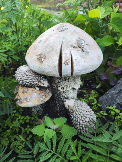 A close-up, eye-level outdoor shot features a decorative garden display of a large mushroom with two small hedgehog figurines nestled around its base. The mushroom is made of a weathered, light-colored material with dark brown detailing and has two deep vertical slits on its cap. One hedgehog is positioned on the mushroom's stem, and another rests on a smaller mushroom cap to the left. Both hedgehogs are depicted with textured, spiky exteriors. The surrounding environment consists of lush green foliage, including leaves with visible water droplets, and dark soil. A dark gray rock is partially visible on the right side of the frame, and a hint of purple clover-like plants can be seen in the background. The overall scene suggests a damp, possibly post-rain, garden setting in the city of Moskovsky, Russia. There are no people or animals present in the image.