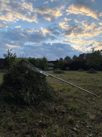 The image depicts a backyard scene at dusk in the city of Kerro, Russia. In the foreground, a large pile of freshly cut grass sits on a grassy lawn, with a rake resting on top and extending diagonally across the frame. The rake has a metallic head and a long handle with a red end. Scattered across the lawn are several smaller piles of grass. In the background, a wooden fence runs along the left side of the property, bordered by trees and bushes. Further back, residential buildings with dark roofs are visible, nestled amongst more trees. The sky above is a dramatic display of clouds, with patches of blue sky and hues of orange and yellow indicating the setting sun. The overall impression is one of a completed or ongoing lawn maintenance task under a picturesque sky.