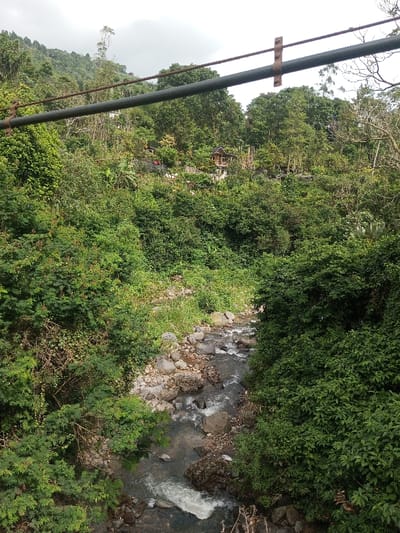 A small, rocky stream rushes through a lush, green landscape. Overhanging vegetation frames the scene, with trees and bushes crowding the banks. A structure, possibly a bridge support, crosses the top of the frame. In the distance, a small house or building is visible amidst the dense foliage. The overall impression is one of a wild, natural environment.
