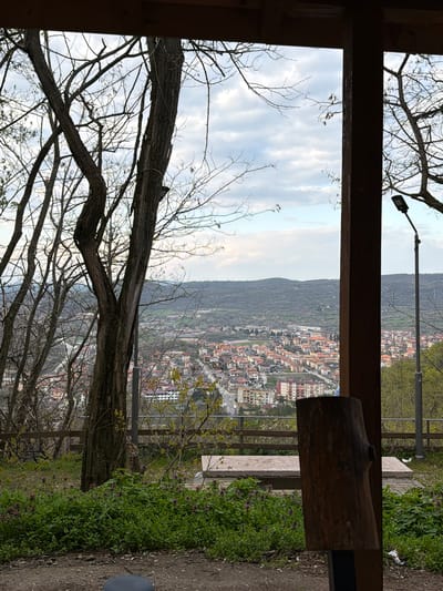 From a vantage point in Bratsigovo, Bulgaria, a view of the cityscape is framed by a wooden structure. Bare tree branches crisscross the foreground, partially obscuring the distant buildings nestled against a hillside. A single lamppost rises in the background, near the edge of the frame. A railing and green foliage border the edge of the viewing platform, with a partially visible wooden log serving as seating. The sky above is overcast with scattered clouds.