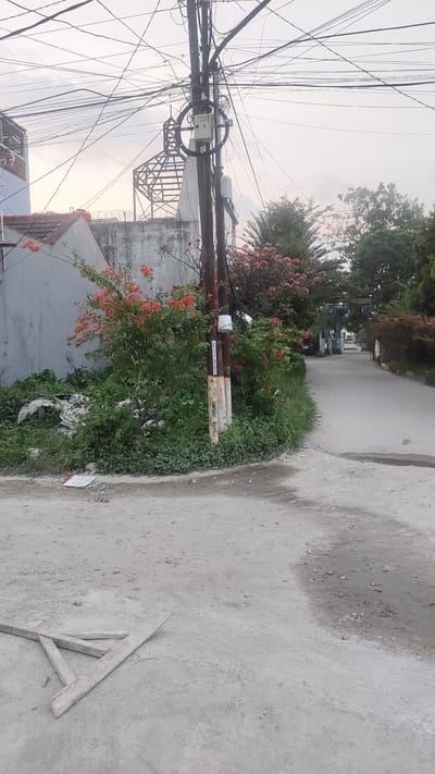 This image captures a street scene in Setiamulya, Indonesia. A narrow, paved road curves to the right, bordered by overgrown greenery and a wall on the left. A prominent utility pole with a dense network of overhead wires stands in the foreground, fitted with electrical equipment and boxes. Pink and orange flowering bushes are visible behind the pole and along the wall. Debris is piled up near the wall. The road continues into the distance, where a few buildings and trees are seen. The sky is overcast. In the foreground on the road, there are some concrete pieces.