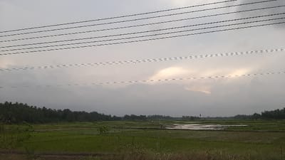 The image depicts a rural agricultural landscape in Payabeunyot, Indonesia, under an overcast sky. The upper portion of the frame is dominated by a grey, cloudy sky with a faint, lighter yellowish hue visible through a break in the clouds on the right. Six to seven dark, parallel power lines traverse the sky horizontally, with two fainter dashed lines below them. The horizon is marked by a dense line of dark green trees, likely tropical foliage. Below the treeline, vast, segmented green fields, identified as rice paddies, stretch into the foreground. Portions of these fields contain young green crops, while others are partially flooded with standing water. A small, light-colored structure or raised wooden walkway is visible in a flooded section of the field, slightly right of center. A solitary, dark, indistinct figure or object stands in the distant field, left of center. The immediate foreground shows a narrow strip of dry, brown and green vegetation. No direct human actions or interactions are depicted.