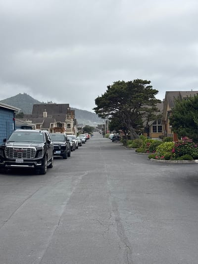 A street view on a cloudy day reveals a line of parked cars. Houses and a tree line the left side of the street, and a small hill can be seen in the distance. The road stretches into the distance, showing more cars parked along the right side as well. Flowers are planted along the edges of some of the houses.