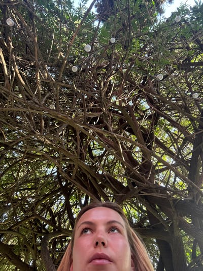 A woman's face is visible on the right, angled upwards toward a dense canopy of tree branches. The intricate network of branches and vines, interspersed with small green leaves, fills the majority of the frame. Strings of lights with round bulbs are hung amongst the branches, adding a decorative element to the natural setting. The overall perspective creates a sense of looking up into the tree's interior.