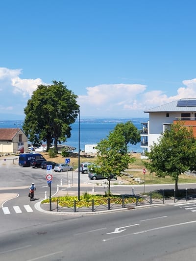 A street scene with a clear blue sky and water on the left. Trees line the street, bordering a curb with metal railings and greenery. Cars are parked along the lakeside road. A person rides a scooter on a crosswalk at a roundabout. Buildings are visible in the background, including one with solar panels. Road signs and parking symbols are also present.