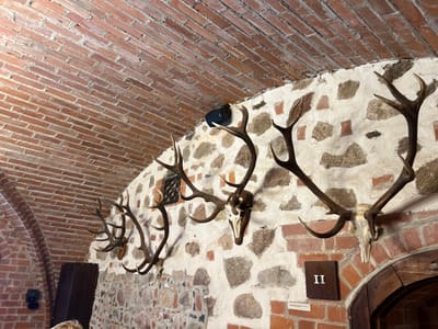 The image shows the interior of a building, possibly a museum or historical site, in Trakai, Lithuania. The scene is dominated by a brick arch ceiling and a stone wall adorned with mounted deer antlers. Several sets of antlers, some with skulls attached, are displayed on the wall. A dark-colored speaker is mounted high on the wall near the ceiling. There is a wooden cabinet or structure on the left side of the image. In the lower right corner, a dark wooden arched doorway is visible, with a dark brown plaque bearing Roman numerals "II" mounted on the wall to the left of the doorway. A person's head and shoulders are partially visible at the bottom left of the frame. The lighting suggests an indoor environment, possibly with artificial light sources.