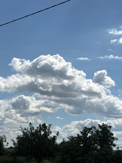 The image depicts a bright, clear blue sky with a prominent power line stretching diagonally from the upper left to the upper right corner. Below the sky, a series of large, fluffy white clouds are scattered, some casting faint shadows. The lower portion of the image features a dark silhouette of dense trees and foliage, with branches and leaves clearly defined against the lighter sky. In the distance, beyond the trees, a flat, green landscape is visible, suggesting a rural or semi-rural setting. The lighting indicates it is daytime, likely late morning or early afternoon, with the sun illuminating the clouds from above and to the right. The scene is consistent with an outdoor environment in Акцябрскі сельскі Савет, Belarus, characterized by open skies and a significant presence of vegetation.