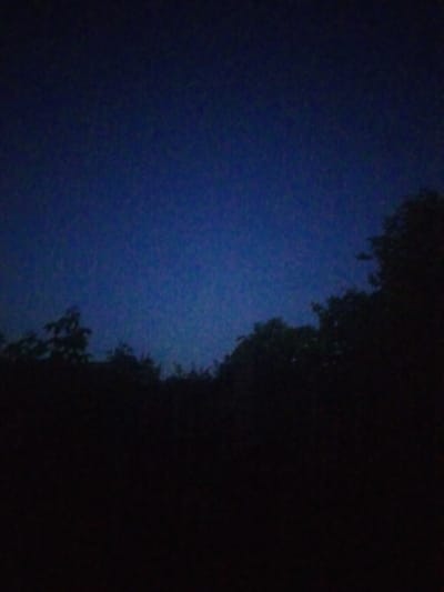 A dark blue sky is visible above a silhouetted line of trees that stretches across the bottom half of the image. The image appears to have been taken at dusk or night. No people, objects, or actions are discernible due to the low light conditions. The location is the city of Myrne, Ukraine.