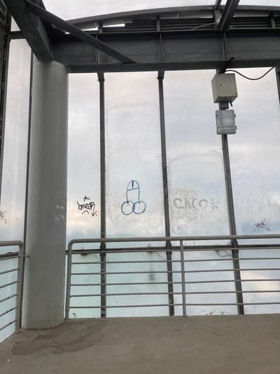 The image shows an interior structure with a view of the sky, possibly a pedestrian overpass or bus shelter. Graffiti is visible on the transparent panel, including a drawing of male genitalia and illegible text. The structure is made of metal and concrete. Location specifics for Razvilka, Russia, cannot be determined from the image. No people are visible.