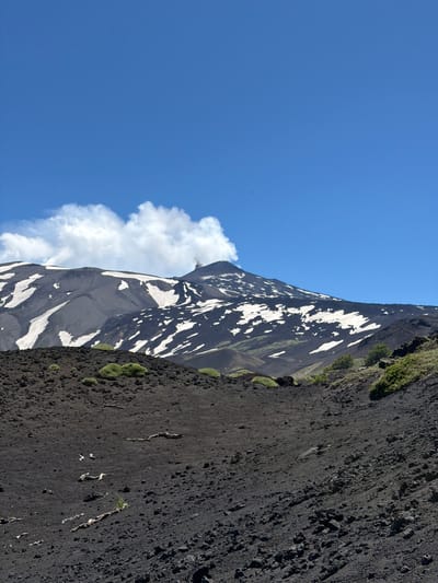 A volcanic landscape under a clear blue sky. The foreground is dominated by a dark, rough terrain of volcanic ash and rocks, with sparse green vegetation and occasional dead branches scattered across it. In the mid-ground, a slope rises sharply, also covered in dark volcanic material interspersed with patches of white snow. The upper slopes of a large volcano are visible, with more snow patches and dark rocky surfaces. A plume of smoke or steam is emanating from the summit of the volcano, indicating ongoing volcanic activity. The sky is a vibrant blue, with a few wispy white clouds on the horizon, and a tiny, dark silhouette of what appears to be a bird or aircraft is visible in the upper portion of the sky. The scene depicts a natural environment, likely a volcano, possibly Mount Etna near Linguaglossa, Italy.