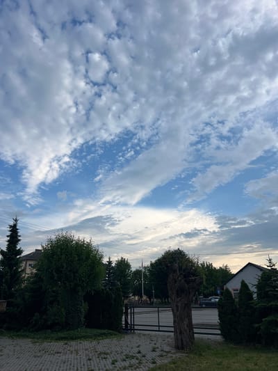 The image depicts an outdoor scene featuring a cloudy sky over a residential area in Borowa, Poland. In the foreground, a paved area with interlocking grey concrete blocks is visible, with patches of grass and some cut vegetation scattered on it. A prominent, gnarled dead tree stands to the right of center, its bark textured and grey. To the left, a dense, lush green tree or shrub is situated, with a tall evergreen tree to its far left. Behind these trees and the dead tree, a black metal gate is visible, suggesting an entrance. Beyond the gate, a street can be seen with a few parked cars and a building with a dark roof and light-colored walls. Further in the background, more trees and buildings are present, and a flagpole with a flag is visible. Power lines stretch across the middle ground of the image. The sky is filled with a mix of white and grey clouds against a blue sky, indicating a partly cloudy day. No people are present in the image.