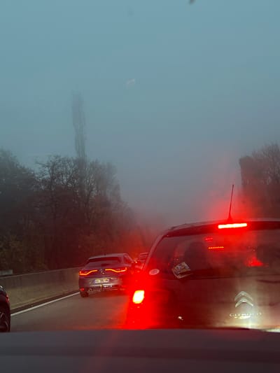 The image shows a foggy roadside scene. In the foreground, two cars are visible with lit taillights. A Citroen logo is also visible on one vehicle. Through the haze, trees and a distant structure, possibly a tower, are partially visible. The photograph's orientation is sideways.