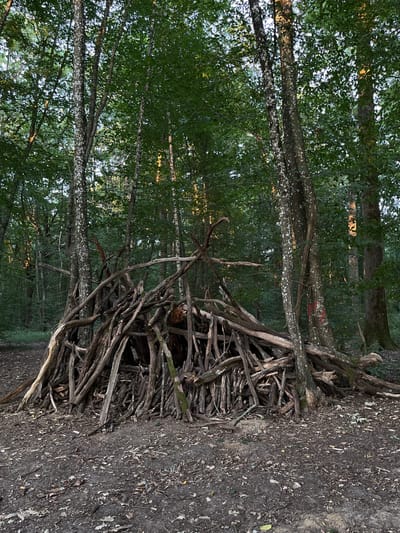 A ramshackle structure, constructed from numerous fallen branches, stands in the center of a wooded area. The structure is conical in shape, with branches layered densely to form walls and a roof. The ground surrounding the structure is covered in fallen leaves and debris. Tall trees with green foliage surround the scene, with dappled sunlight filtering through the canopy. The image appears to have been taken in Sonchamp, France.