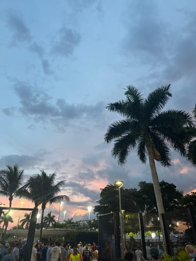 The image depicts a crowd of people gathered near stadium lights and palm trees under a twilight sky in Miami Gardens, Florida. The sky displays a mix of blue and pink hues, with scattered clouds suggesting the end of a day. Several palm trees are prominent, with their fronds silhouetted against the sky. In the foreground, a black metal fence with wire mesh is visible, behind which are more palm trees and foliage. The crowd appears to be moving or milling about, with individuals wearing casual clothing. The stadium lights are illuminated, casting a glow on the scene. The overall atmosphere suggests an event or gathering taking place at dusk.