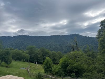 An overcast sky looms over a dense, verdant mountain range in Azhek, Russia. The foreground features a wooden deck, overlooking a gently sloping grassy field. A rustic wooden fence meanders across the field, separating it from a wooded area. Scattered trees, some bare and others full of leaves, dot the landscape. A winding path leads towards a small, white structure nestled among the trees in the distance. The overall scene evokes a sense of natural tranquility.