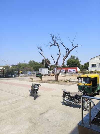 The image depicts a sunny outdoor scene in what appears to be a transportation hub in Dhandhuka, India. The sky is clear and blue. A bare tree stands prominently in the center of the frame. To the right is a green and yellow CNG-powered auto-rickshaw. In the foreground are two motorcycles parked on a concrete paved area. Other vehicles and structures are visible in the background, including a parking area under a metal awning and a white building. A red building with white Hindi text is behind the tree. Fencing is visible between the tree and the building. The scene suggests a typical day in a small Indian city.