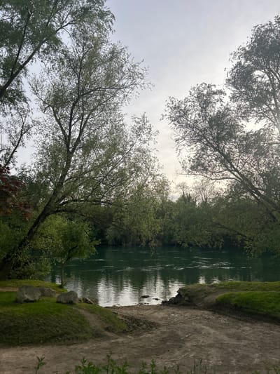 The image captures a scene near the river Marne in Gournay-sur-Marne, France. A dirt path runs alongside the river, with grassy banks lining the edge. Trees with green foliage dominate the view, their branches extending over the water and framing the sky. The river surface reflects the sky and surrounding trees, creating a play of light and shadow. The sky is overcast.