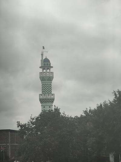 A light green minaret with white decorative zigzags and star patterns stands tall against a cloudy, overcast sky. The minaret has multiple tiers with arched openings and a dark green dome topped with a golden spire and a black flag. In the foreground, dark green trees obscure the lower portion of the minaret and a brick building to the left, which has some visible structures and what appears to be a satellite dish. The scene is likely in Harda, India, given the architectural style and environmental context.