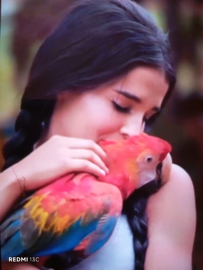 A young woman with dark hair in braids embraces a Scarlet Macaw. Her eyes are closed as she rests her face against the bird's red, yellow, and blue plumage. The macaw's head is visible, showing its curved beak and light-colored eye. The woman wears a light-colored top. The background is blurred and appears to be foliage. A "Redmi 13C" watermark is visible in the lower left corner.