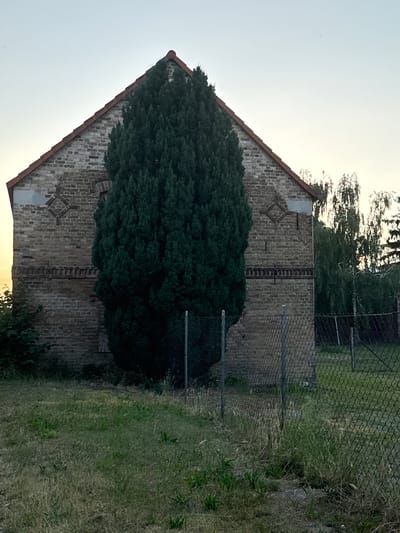 The image captures a side view of an old brick building with a red-tiled roof, partially obscured by a tall, dense evergreen tree. The building features a diamond-shaped decorative element on its brick facade, as well as a band of darker bricks with vertical indentations. In front of the building, a chain-link fence runs across the foreground, separating the building's immediate surroundings from a grassy area. Beyond the building and fence, several trees with drooping branches are visible, suggesting a rural or semi-rural setting. The sky is clear and pale, indicative of early morning or late evening light. The image appears to have been taken in Wustermark, Germany, given the context provided.