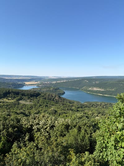 The image captures a panoramic view of a horseshoe-shaped lake surrounded by lush green forests and rolling hills under a clear blue sky. In the distance, a dam is visible, spanning across the lake and creating a reservoir. The foreground is dominated by dense foliage of trees, with some trees displaying white flowers. The terrain appears to be hilly and undeveloped, suggesting a natural landscape. The location is identified as Mladen, Bulgaria. There are no people or specific actions depicted in the image.