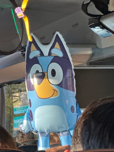 The image displays the interior of a vehicle, likely a bus or coach, situated in Ladispoli, Italy. A large, partially inflated Mylar balloon, designed to resemble the character Bluey, is suspended centrally within the cabin. The balloon, primarily blue and light blue with dark blue, white, and yellow accents depicting the character's face and body, hangs from an overhead fixture via a yellow strap and a multicolored clip. A green light beam is visible near the top left of the frame. The vehicle's ceiling consists of light-colored panels, with a dark overhead bin visible on the right, partially displaying the text "Lion's Coach." Through the windows on the left, a blurred outdoor environment featuring greenery and structural elements is discernible. The heads and upper torsos of multiple passengers are visible in the foreground and midground, indicating they are seated within the vehicle.