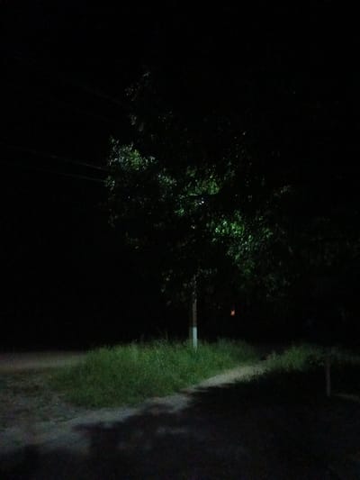 The image depicts a nighttime scene in Leontyevskoye, Russia, with a single tree illuminated by artificial light, casting a faint glow on its leaves. The tree stands on the edge of a grassy area adjacent to a dirt path or road. The surrounding environment is dark, with the only light sources appearing to be the one illuminating the tree and possibly a distant, faint reddish glow. Power lines are visible in the upper left portion of the image, indicating an outdoor, possibly rural or suburban, setting. The overall mood of the image is quiet and serene, with a sense of solitude. There is no discernible activity or event taking place, and no text is visible in the image. The time of day is clearly night.