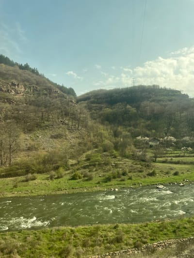 A slightly tilted, medium shot shows the Iskar River running through a rural scene near Tserovo, Bulgaria. The river dominates the right side of the image, its surface churning with white water rapids, flanked by green banks of grass and shrubs. On the left, a steep hillside covered with dense forest rises. The lower part of the hillside is more barren with exposed rock faces and leafless trees, transitioning into a denser, greener forest towards the top. In the distance, power lines stretch across the sky, supported by a tall metal tower. The sky is pale blue with scattered clouds. A small house is visible among the trees on the hillside.