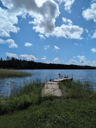 The image depicts a serene lake landscape in Hartola, Finland, under a bright blue sky partially covered by scattered cumulus clouds of varying sizes and densities. The sunlight illuminates the scene, causing numerous glints and sparkles on the gently rippled surface of the blue-green lake, particularly towards the right side.
In the foreground, lush green grass with interspersed small yellow wildflowers leads down to the water's edge. A wooden dock, constructed from weathered planks, extends from the grassy shore into the lake, angling slightly towards the right. At the end of the dock, a dark, simple wooden bench with a backrest is positioned, facing the open water. Adjacent to the bench, a dark-colored ladder or set of steps leads directly into the lake, suggesting access for swimming.
Along the left shoreline and extending into the shallow water, a dense band of tall green reeds or rushes is visible. The far bank of the lake is delineated by a dark, dense forest of coniferous trees, which appear silhouetted against the bright sky, occupying the entire horizon line. No individuals or animals are present in the scene, which conveys a sense of quiet and solitude.