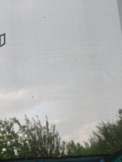 The image shows a grey, overcast sky seen through a mesh screen. The mesh creates a horizontal striped pattern over the entire scene. In the upper left quadrant, a dark, angular shape resembling the letter "D" is visible, possibly a sticker or a mark on the screen. Scattered throughout the upper portion of the image are several small, dark specks, consistent with insects or debris on the screen. The lower half of the image is a blurred view of green foliage from trees and what appears to be a dark structure or roofline at the very bottom. The overall impression is that of looking out of a window with a screen on a cloudy day, with some objects on the screen itself. There is no information in the image to suggest a specific location in the city of Шипуново, Russia.