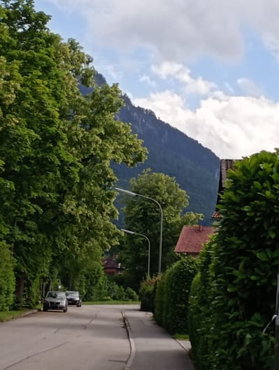 This image depicts a street scene in Brannenburg, Germany. The road curves gently to the right, bordered by lush green trees and manicured hedges. Two cars are parked on the left side of the road. In the background, a steep, tree-covered mountain rises majestically against a partly cloudy sky. The architecture of a house with a red tiled roof is visible to the right, partially obscured by dense foliage. Two lampposts stand along the roadside. The overall impression is a serene, residential area nestled against a dramatic natural landscape.
