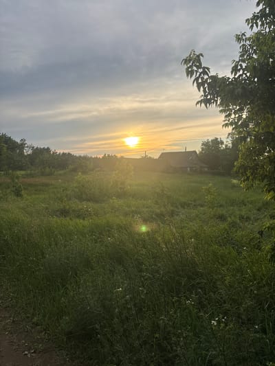 The image depicts a pastoral scene at sunset, likely in the Бабовіцкі сельскі Савет region of Belarus. The sun, a brilliant golden orb, is low in the sky, casting long, warm rays across a landscape dominated by lush green fields and trees. Wispy clouds streak the sky, illuminated by the setting sun. In the background, a rustic, weathered building with a visible chimney stands nestled amidst the greenery, hinting at a rural dwelling or farmstead. The foreground is filled with tall, dense grass and vegetation, with some smaller white flowers scattered throughout. A branch with green leaves hangs into the frame from the upper left corner, partially obscuring the sky. The overall mood is tranquil and serene, evoking a sense of peace and the quiet beauty of nature at dusk. There is no visible text in the image.