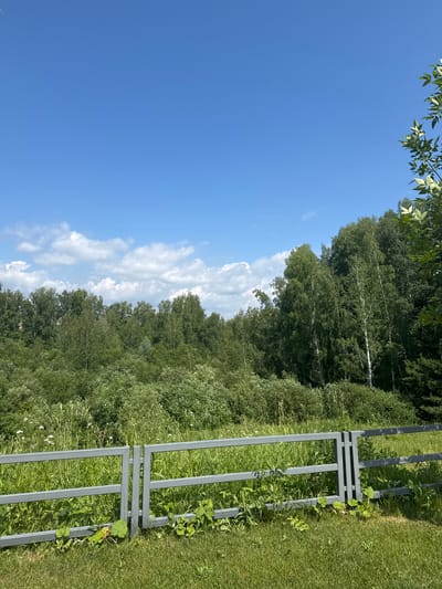 The image shows a sunny day in Koltsovo, Russia. The sky is a clear blue with scattered white clouds. In the foreground, there is a gray metal fence with two horizontal bars. Beyond the fence, there is a field of tall green grass and wild flowers. Behind the field, a dense forest of green trees can be seen. The trees appear to be a mix of deciduous and coniferous species, with some birch trees being particularly noticeable. The overall scene depicts a natural landscape on a pleasant summer day.