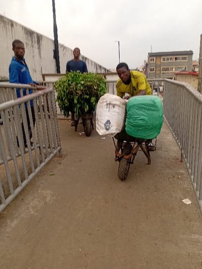 Three individuals are on a bridge. Two men are pushing wheelbarrows filled with goods. One wheelbarrow is loaded with a green and white bag. The other wheelbarrow is loaded with green foliage. A third individual stands on the sidewalk next to a fence. A building is visible in the background. The sky is overcast.