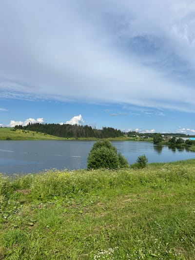 This is a vertical, wide-angle, outdoor photograph of a calm river flowing alongside a lush, green grassy embankment. The river reflects the bright blue sky, which is dotted with fluffy white clouds. On the far bank of the river, a dense line of dark green pine trees stretches into the distance. Beyond the trees, a small village with scattered houses and buildings can be seen. The grassy embankment in the foreground is covered in various green plants and wildflowers, some of which are white. The scene is illuminated by bright daylight, suggesting it is daytime. The overall impression is one of a peaceful, natural landscape. No people, objects, or text are visible in the image. The location is identified as Verkh-Rozhdestvo, Russia.