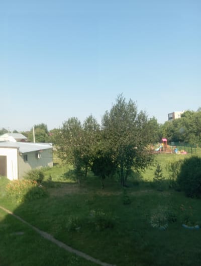 The image depicts a view of a residential area in Krasnosvobodnoye, Russia, on a clear day. In the foreground, a lawn is visible, with a pathway running across it. To the left, a light-colored building with a metal roof and a visible garage door is present. Adjacent to this building, a patch of flowers with orange and red blooms adds a splash of color. Further into the scene, several trees are scattered across the landscape. In the middle ground, a children's playground with colorful equipment, including a slide and swings, is situated. Beyond the playground, a multi-story building can be seen through the trees. The sky above is a pale blue.