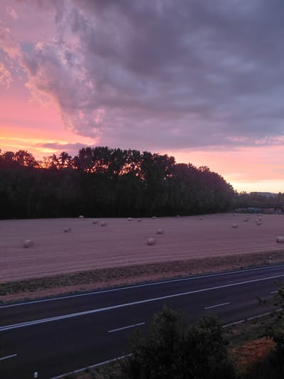 The image depicts a rural landscape at dusk, featuring a road in the foreground, a field of hay bales, and a line of trees against a dramatic sky. The sky is filled with clouds, colored in hues of pink, purple, and gray, indicating the sun has recently set or is about to set. The field contains numerous round hay bales scattered across it, arranged in an irregular pattern. A dark asphalt road with white lane markings runs horizontally across the lower portion of the image. Behind the field, a dense line of trees forms a dark silhouette against the colorful sky. In the distance, buildings are faintly visible, suggesting the proximity of a settlement. There are no people or animals visible in the scene. The overall impression is one of tranquility and natural beauty.