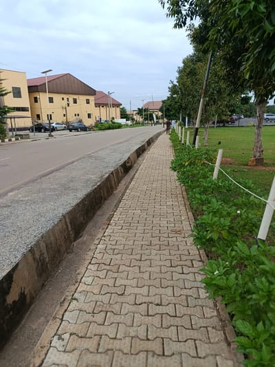 The image depicts a paved walkway with a row of green bushes and white posts lining its right side, separating it from a grassy area. Several trees are visible beyond the bushes. On the left side of the walkway, there is a concrete drainage channel and a road. Buildings with yellow walls and brown roofs are visible across the road. Cars are parked along the roadside. Two individuals are walking on the walkway in the distance. The scene appears to be within the Immigration Quarters in Nigeria, given the architectural style of the buildings and the surrounding environment. The sky is overcast.