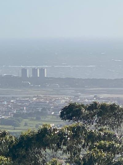 The photograph shows a distant cityscape with a body of water in the background. The foreground contains foliage from a tree or bush. The city appears to be Esposende, Portugal, based on the distinctive structures visible in the water. The weather is overcast. Buildings, infrastructure, and urban development are distinguishable.