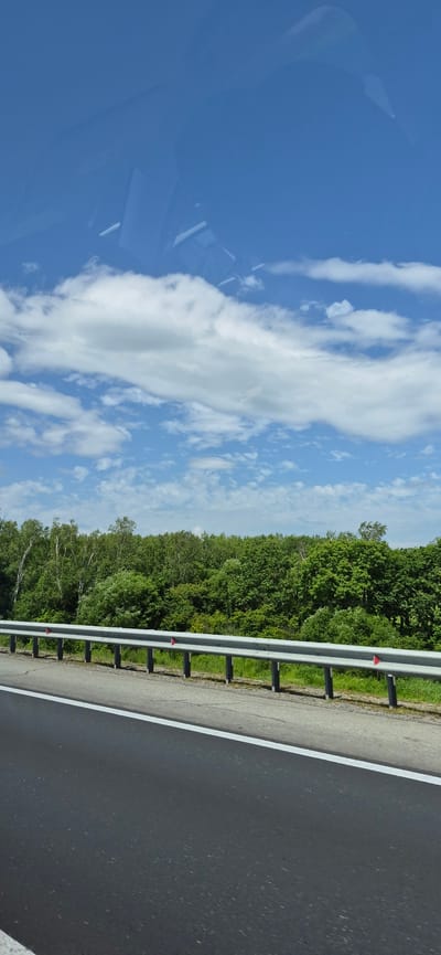 The image shows a roadside scene with a forest in the background. A highway barrier with red markers separates the road from the forest. The road surface is asphalt with a white line marking the lane. The sky is blue with white clouds. The image appears to have been taken from a moving vehicle, possibly in or near Gorodechnoe, Russia, given the context. There are no people visible in the image.
