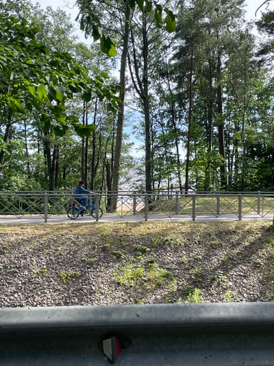 A person is riding a blue bicycle on a paved path in Ushkovo, Russia. The path is bordered by a metal railing with a diamond pattern. Behind the railing, there is a grassy area covered in small rocks and scattered greenery. Further back, a dense forest with tall trees and lush foliage dominates the landscape. In the distance, a body of water can be seen, likely the Gulf of Finland, with a sandy beach. The sky is partly cloudy. The perspective is from a low angle, looking across the landscape.