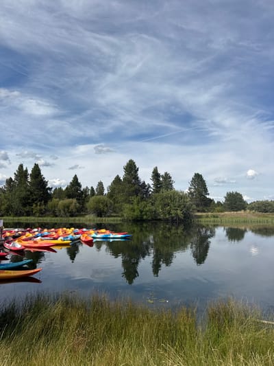 The image depicts a tranquil daytime scene at a waterfront location in Sunriver, United States. In the foreground, green and brown natural grasses line the edge of a calm body of water, likely a lake or canal. The midground features numerous colorful recreational watercraft, specifically kayaks and small paddle boats, moored together near a visible dock structure on the left. The boats are predominantly red, orange, yellow, and blue. The water surface displays clear reflections of the sky and the opposite shoreline. Across the water, the background is dominated by a dense line of various trees, including tall evergreen conifers and deciduous bushes, reflecting in the water. Beyond the immediate treeline, sparse vegetation suggests an open, natural landscape. The sky above is a mix of blue with scattered white clouds, primarily cirrus, and several faint airplane contrails are visible. No individuals are present in the scene, and no direct actions or interactions are occurring.