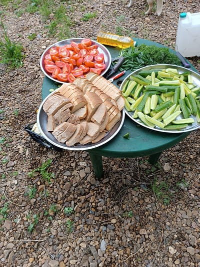 An outdoor scene in Idrisovo, Russia, shows a green plastic table laden with prepared food. Three metal platters are arranged on the table. The largest platter, positioned in the foreground and to the left, contains numerous slices of brown and white bread. To its right, a platter is filled with sliced cucumbers, some appearing lightly pickled. A third platter, set further back, holds chopped tomatoes. Also on the table are a bottle of yellow oil, a bunch of green herbs, and chopped green onions. A knife with a red and black handle rests near the onions, and another knife, black and silver, is positioned behind the platter of tomatoes. In the background, a white plastic container with a blue lid stands to the right, and the legs of a light-colored dog are visible. The ground around the table is covered in small grey and brown stones and sparse green vegetation.