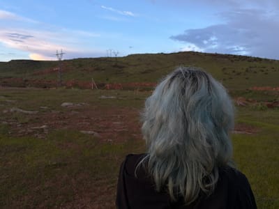 A person with light blue hair stands in a field of grass in Anipemza, Armenia, facing a low-lying hill. Two electrical towers are visible on the hill. The sky is blue with white clouds. The person is wearing a black jacket. The terrain is sparsely vegetated with some exposed earth.