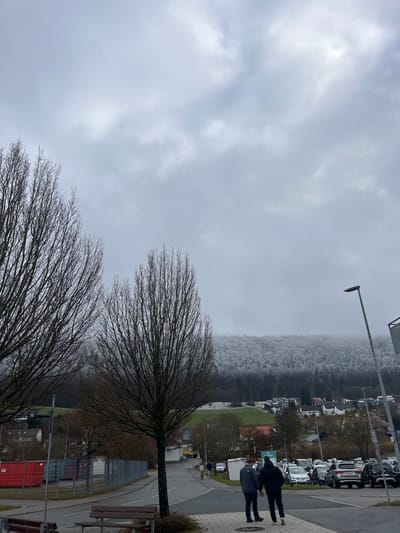 The image portrays an outdoor scene in Rietheim-Weilheim, Germany, under a uniformly overcast, light grey sky. In the immediate foreground to the left, two tall, bare deciduous trees stand prominently. A brown wooden bench with a metal frame is partially visible at the bottom left. A paved pedestrian pathway occupies the right foreground, transitioning into an asphalt road that curves uphill towards the left mid-ground.
Two adult males are walking away from the camera on the paved pathway in the right foreground. The individual on the left wears a dark blue puffer jacket, dark trousers, and dark shoes. The individual on the right wears a dark hooded jacket, dark trousers, and light-colored shoes. A tall, grey streetlamp is positioned on the far right.
To the left of the asphalt road, a grey metal fence encloses an area containing two red shipping containers. Further up the road, a third individual, appearing to be an adult male, is observed walking uphill. The mid-ground features a large parking lot filled with various parked automobiles (sedans and SUVs) on the right, and scattered residential-style buildings with light facades and dark roofs across gentle, green-brown slopes. The background is dominated by a prominent hillside covered in a dense stand of coniferous trees, heavily dusted with snow, indicating cold weather conditions.