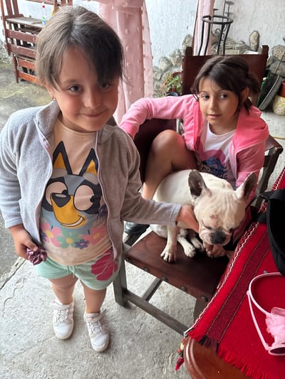 In Enevo, Bulgaria, a young girl with dark hair stands in the foreground wearing a grey zip-up fleece jacket over a light-colored t-shirt featuring a cartoon character and mint green shorts. She holds a scrunchie in her left hand. To her right, a white French bulldog is seated on a wooden chair, being petted by the girl's hand. Behind the younger girl, an older girl with dark hair sits in a chair wearing a pink hooded jacket over a white t-shirt. The background shows a rustic outdoor setting with stone walls, wooden furniture, and pink curtains. A red woven cloth with fringe is visible on a table to the right.