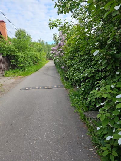 The image depicts a paved path or narrow road in a green, outdoor setting, likely a garden partnership or a quiet residential area. The path extends into the distance, curving slightly to the left, and is bordered by lush vegetation on both sides.
A prominent feature on the path is a long, black, segmented speed bump with regularly spaced yellow or light-colored rectangular markings. The asphalt surface of the path is visible, showing small stones and cracks.
To the left of the path, a concrete curb or edging separates the pavement from dense greenery. This side is characterized by abundant foliage, including bushes and trees with green leaves, some of which exhibit distinctive white tips (possibly a variegated plant like *Actinidia kolomikta*). Further along this side, vibrant lilac bushes with clusters of purple and white flowers are in bloom, adding color to the scene.
On the right side of the path, there is also dense green vegetation. A wooden fence is partially visible behind these bushes. Beyond the fence and greenery, part of a house with a red-tiled roof and a brick chimney can be seen. Overhead power lines run horizontally across the upper right portion of the image, above the house.
The sky above is bright with scattered white clouds, suggesting a clear or partly cloudy day, likely during morning or afternoon hours, given the natural light. No people or animals are visible in the scene. The overall impression is one of a peaceful, verdant pathway, consistent with a suburban or rural area like a garden cooperative in the Krasnogorsky District of Russia. There is no visible text in the image.