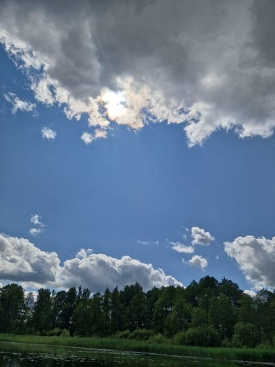 The image depicts a natural landscape scene, likely in Viesīte, Latvia, dominated by a vibrant blue sky filled with a mix of fluffy white and dark gray clouds. The sun is partially obscured by the clouds, creating a bright halo effect with iridescent colors. Below the sky, a dense line of dark green trees forms a horizon, with some lighter green foliage and reeds visible at their base. The foreground features a body of dark water, possibly a lake or river, with a scattering of lily pads on its surface. The overall impression is one of a calm, somewhat overcast day in a rural or natural setting.